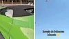 Invazie pe litoralul românesc! Turiștii sunt asalați pe plaja sau pe faleză de mii de buburuze